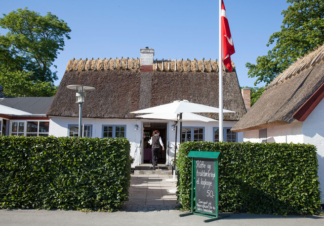 Cafe, Stevns Klint